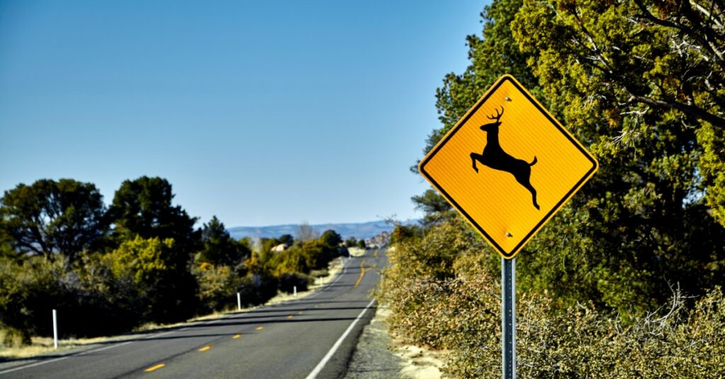 A yellow diamond-shaped deer crossing sign stands beside a two-lane road. Trees and brush line the empty roadway.